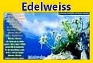 EDELWEISS