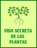 VIDA SECRETA DE LAS PLANTAS